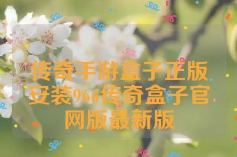 传奇手游盒子正版安装966传奇盒子官网版最新版