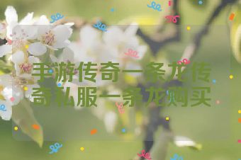 手游传奇一条龙传奇私服一条龙购买
